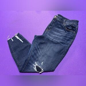 Lane Bryant Distressed Midrise Skinny Jeans